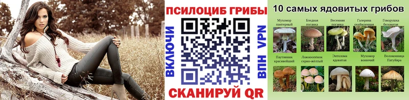 Галлюциногенные грибы Cubensis  Купить  Шарыпово 